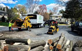 Best Hedge Trimming  in Amboy, WA